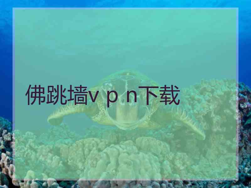 佛跳墙v p n下载