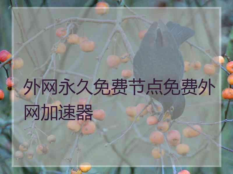 外网永久免费节点免费外网加速器