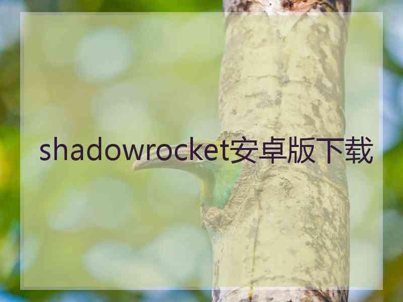 shadowrocket安卓版下载