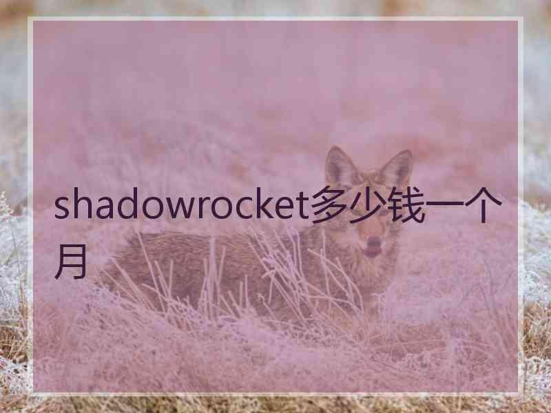 shadowrocket多少钱一个月