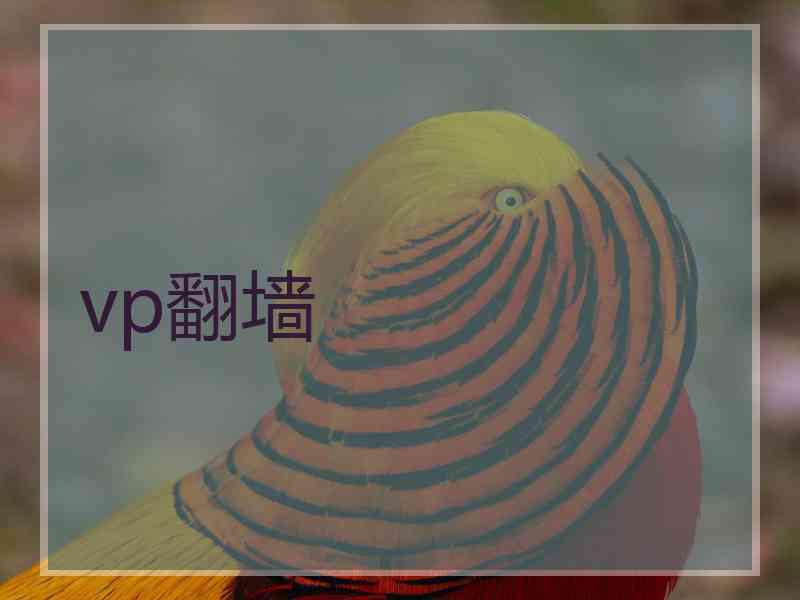 vp翻墙