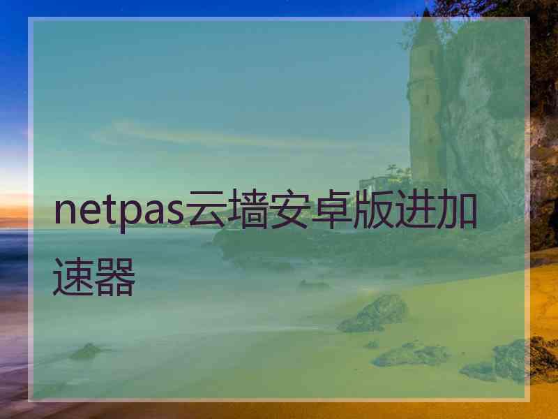 netpas云墙安卓版进加速器