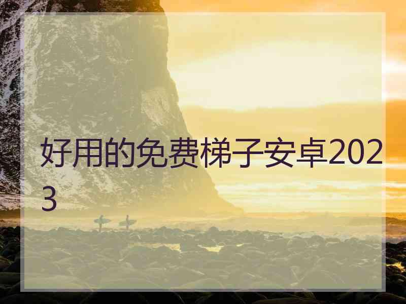 好用的免费梯子安卓2023