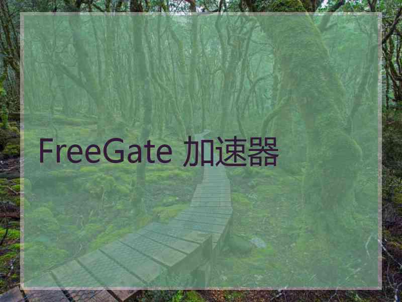 FreeGate 加速器