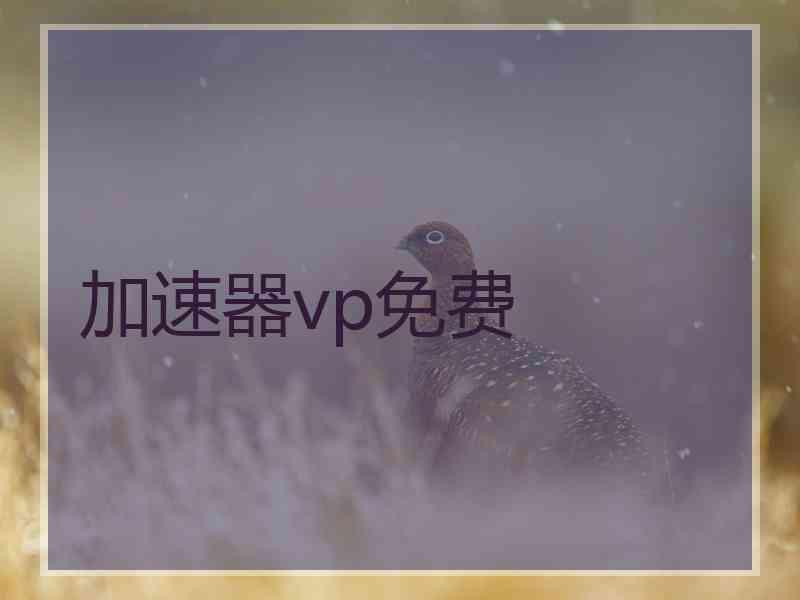 加速器vp免费