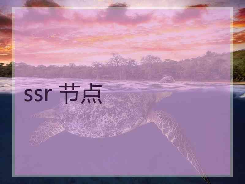 ssr 节点