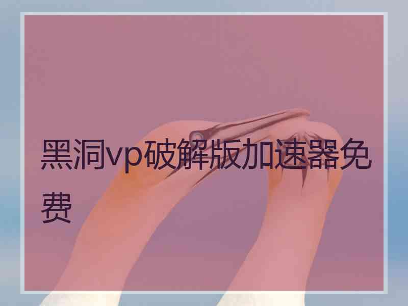 黑洞vp破解版加速器免费