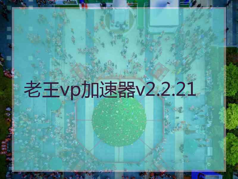 老王vp加速器v2.2.21